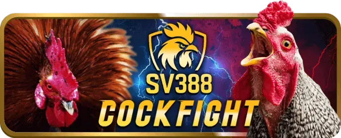 Liên hệ hỗ trợ w88club chính thức
